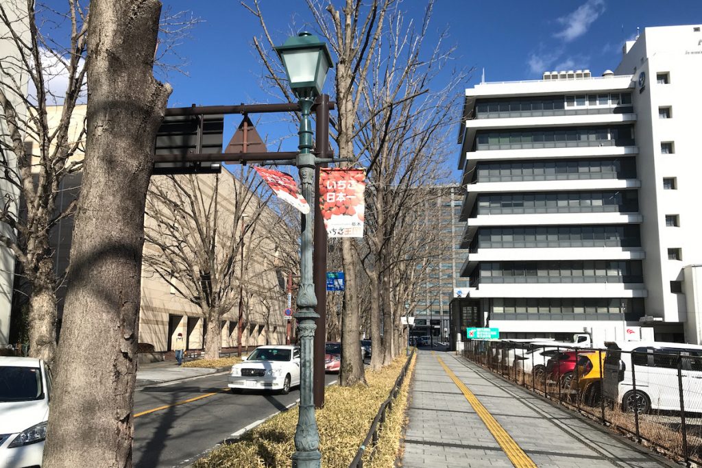 道路照明工事 宇都宮向田線（県庁正面前）施工写真